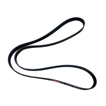CORREIA POLY V MASTER 2.3 2013/...