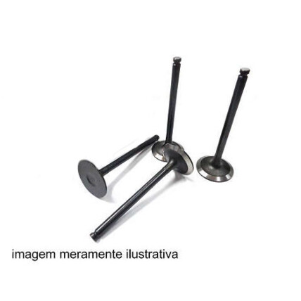 VALVULA ESCAPE BESTA GS 3.0 / BONGO K2700 2.7