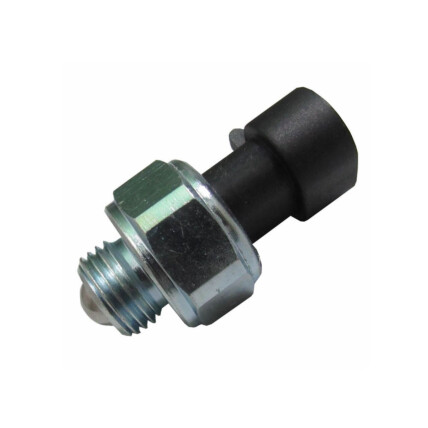 INTERRUPTOR LUZ RE IVECO DAILY