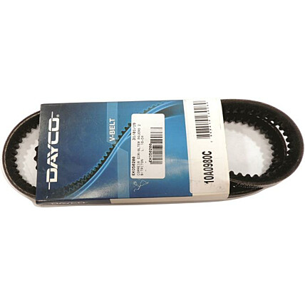 CORREIA POLY V PAJERO