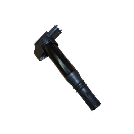 BOBINA IGNICAO C3/208