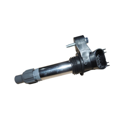 BOBINA IGNICAO TRAILBLAZER 3.6 24V 13/
