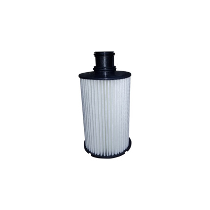 FILTRO OLEO DISCOVERY IV 5.0 V8 10/