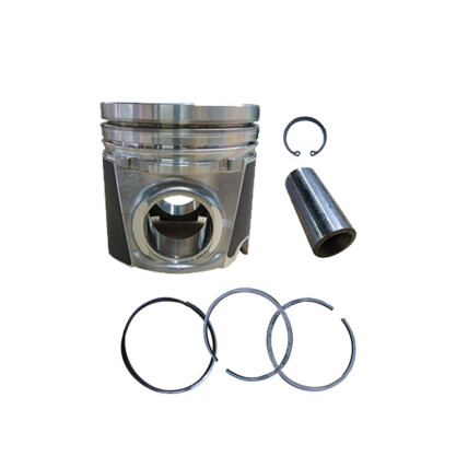 PISTAO+ANEL MOTOR STD DAILY