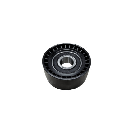 POLIA ALTERNADOR C3/206/MEGANE