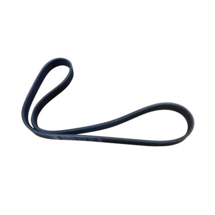 CORREIA POLY V DAILY