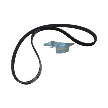CORREIA POLY V DAILY - ELASTICA