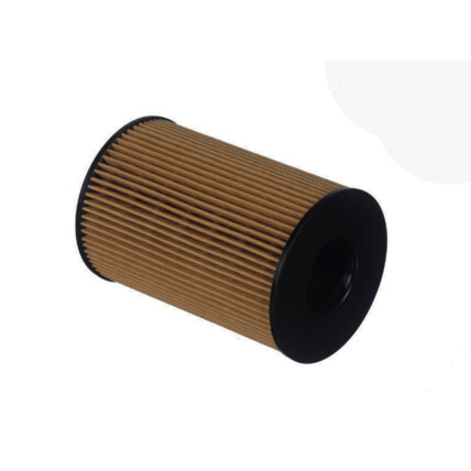 FILTRO OLEO  BMW X5 50I 4.4 V8 32V 10/