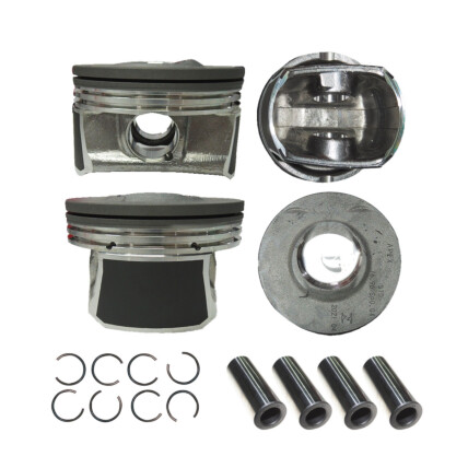PISTAO MOTOR STD C4 LOUNGE/CACTUS